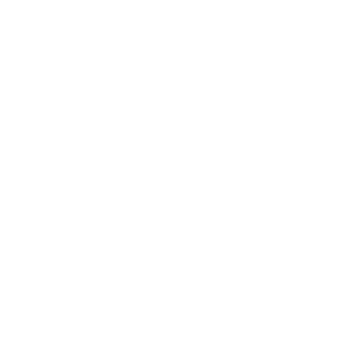 Hawaiian Shaved Ice Logo